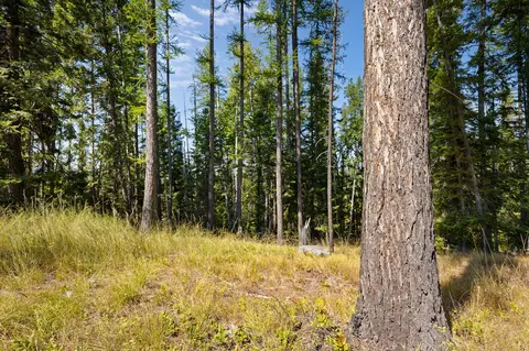 778 Pine Ridge Rd, Bigfork, MT 59911 photo 9