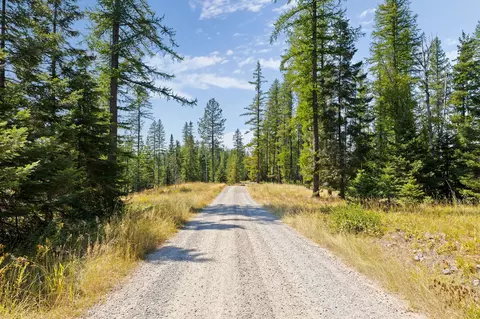 778 Pine Ridge Rd, Bigfork, MT 59911 photo 7