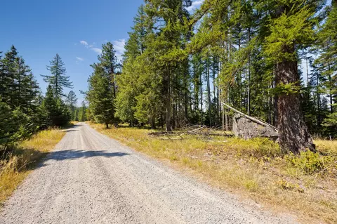 778 Pine Ridge Rd, Bigfork, MT 59911 photo 5