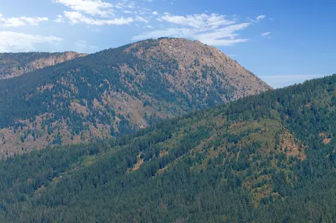778 Pine Ridge Rd, Bigfork, MT 59911 photo 14