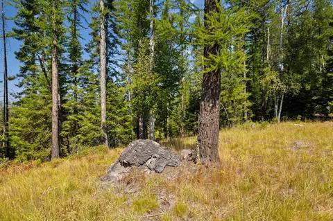 778 Pine Ridge Rd, Bigfork, MT 59911 photo 11