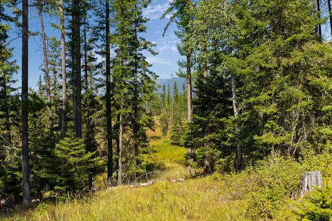 778 Pine Ridge Rd, Bigfork, MT 59911 photo 12
