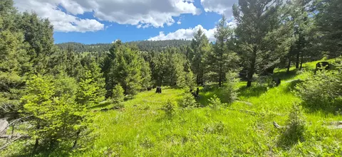 28 Muskrat Rd, Helmville, MT 59843