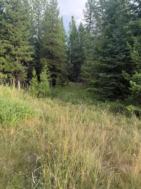 125 Conley Ct, Kila, MT 59920
