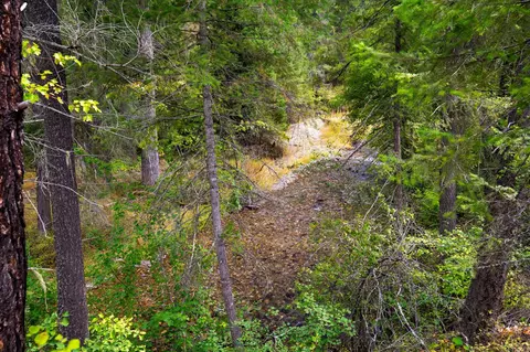 Other - 3 Craws Nest Loop, Thompson Falls, MT 59873 photo 13 of 14