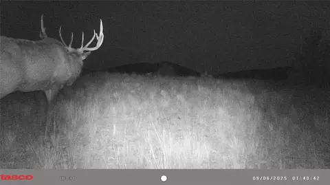 tbd Keating Gulch Rd, Radersburg, MT 59641