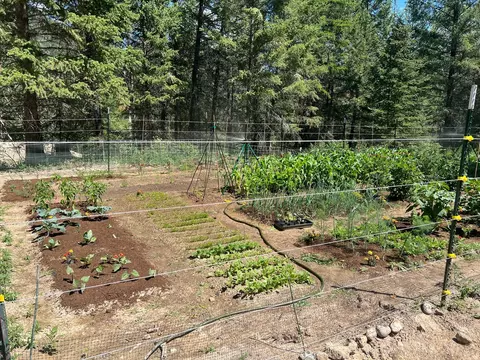 Other - 4332 Grave Creek Rd, Eureka, MT 59917 photo 24 of 25