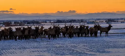 Other - tbd Wes Davis Rd, Belgrade, MT 59714 photo 8 of 8