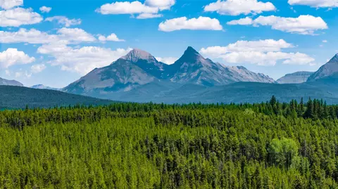 Other - 16445 N Fork Rd, Polebridge, MT 59928 photo 12 of 12