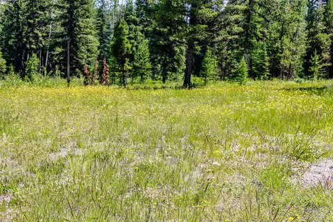 Other - 16445 N Fork Rd, Polebridge, MT 59928 photo 8 of 12