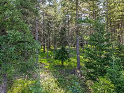 Exterior - 260 Bobtail Meadow Rd, Libby, MT 59923 photo 7 of 9