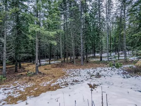 Exterior - 260 Bobtail Meadow Rd, Libby, MT 59923 photo 9 of 9