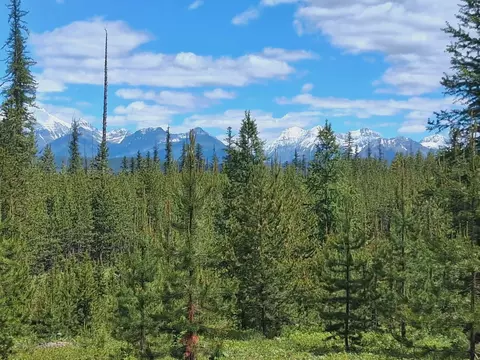 11532 N Fork Rd, Polebridge, MT 59928 photo 7