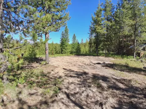 11532 N Fork Rd, Polebridge, MT 59928 photo 3
