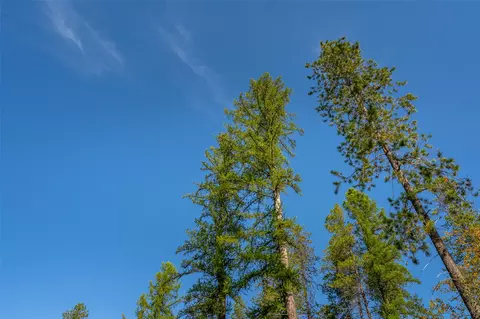 Other - 155 Corbett Ln, Coram, MT 59913 photo 10 of 11