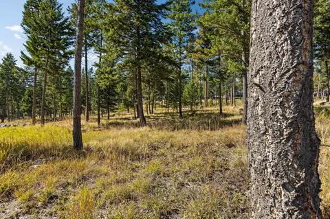 Exterior - 287 Spurwing Loop, Lakeside, MT 59922 photo 4 of 6