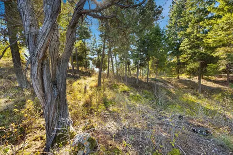 1017 Angel Point Rd, Lakeside, MT 59922 photo 21