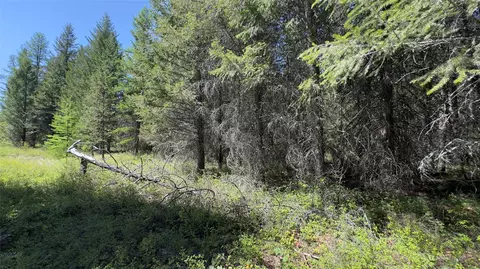 110 Verna Ct, Libby, MT 59923 photo 17