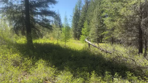 110 Verna Ct, Libby, MT 59923 photo 15