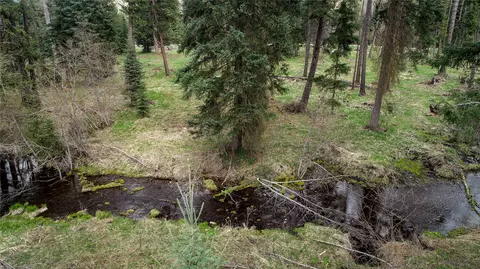 View/Area - 137 Fallen Bear Ln, Libby, MT 59923 photo 4 of 7