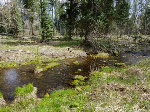Other - 137 Fallen Bear Ln, Libby, MT 59923 photo 3 of 4