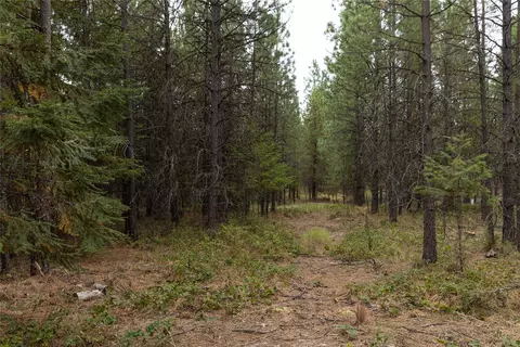Other - 30 Big Loaf Ln, Libby, MT 59923 photo 2 of 7