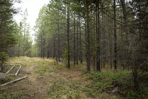 Exterior - 30 Big Loaf Ln, Libby, MT 59923 photo 5 of 6