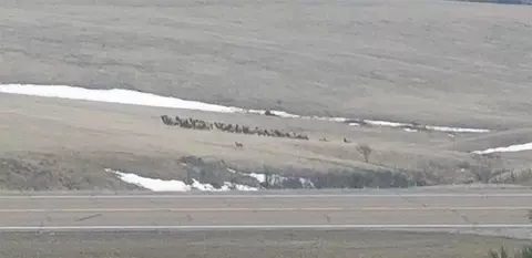 Other - 5833 Us Highway 89, Belt, MT 59412 photo 11 of 21