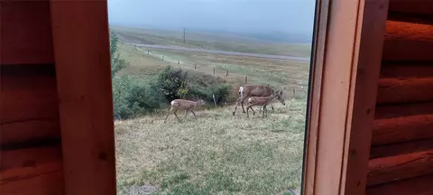 Other - 5833 Us Highway 89, Belt, MT 59412 photo 12 of 21