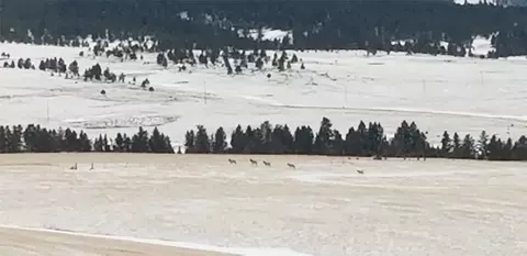 Other - 5833 Us Highway 89, Belt, MT 59412 photo 17 of 21