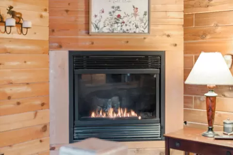 Living - 532 Grayling Rd, Lakeside, MT 59922 photo 3 of 3