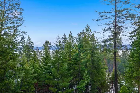 Other - 532 Grayling Rd, Lakeside, MT 59922 photo 3 of 10