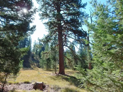 Other - 8872 Elk Trail Loop, Lincoln, MT 59639 photo 7 of 35