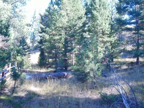 Exterior - 8872 Elk Trail Loop, Lincoln, MT 59639 photo 42 of 49