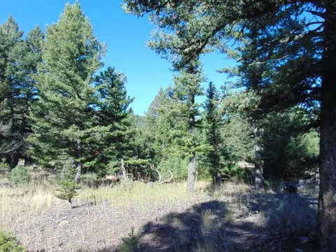 Other - 8872 Elk Trail Loop, Lincoln, MT 59639 photo 33 of 35