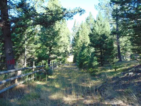 Exterior - 8872 Elk Trail Loop, Lincoln, MT 59639 photo 40 of 49