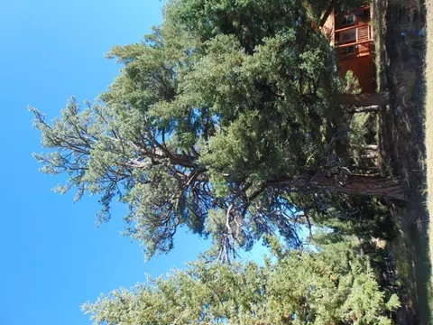 Other - 8872 Elk Trail Loop, Lincoln, MT 59639 photo 11 of 35
