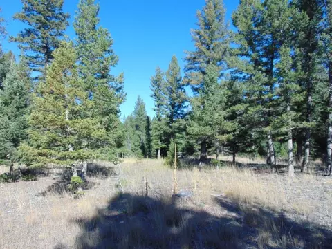 Other - 8872 Elk Trail Loop, Lincoln, MT 59639 photo 32 of 35