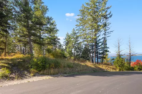 Other - 142 Whisper Ridge Dr, Bigfork, MT 59911 photo 3 of 4