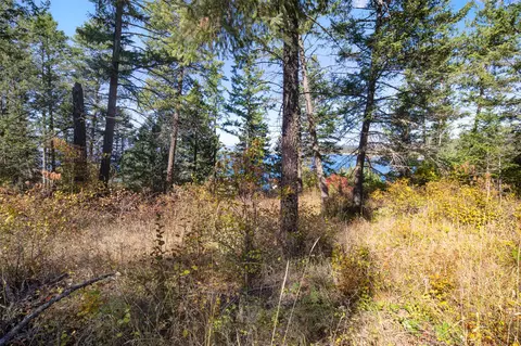 Other - 142 Whisper Ridge Dr, Bigfork, MT 59911 photo 1 of 4