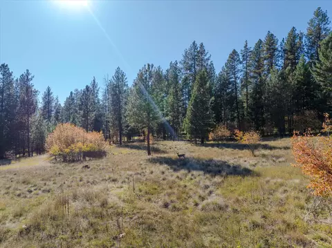 Other - Kna Mack Road, Libby, MT 59923 photo 3 of 10