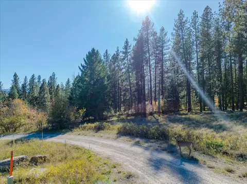 Exterior - Kna Mack Road, Libby, MT 59923 photo 8 of 12