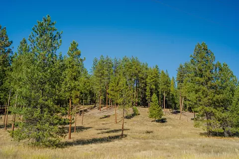 Other - Kna Mack Road, Libby, MT 59923 photo 17 of 37