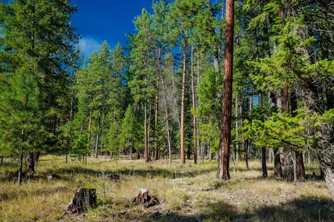 Other - Kna Mack Road, Libby, MT 59923 photo 30 of 37