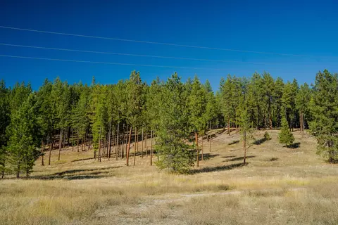 Other - Kna Mack Road, Libby, MT 59923 photo 15 of 37