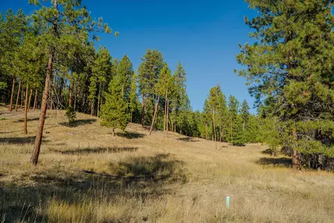 Other - Kna Mack Road, Libby, MT 59923 photo 35 of 37