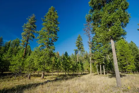 Other - Kna Mack Road, Libby, MT 59923 photo 26 of 37
