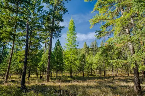 Other - Kna Mack Road, Libby, MT 59923 photo 28 of 37