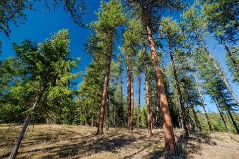 Other - Kna Mack Road, Libby, MT 59923 photo 24 of 37