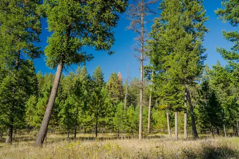 Other - Kna Mack Road, Libby, MT 59923 photo 20 of 37